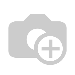 VALVE, CHECK, SWING, FB, 150# FLG, FORGING SS316